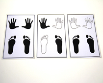 Escadinha das notas - Harmonia Jogos Pedagógicos Musicais